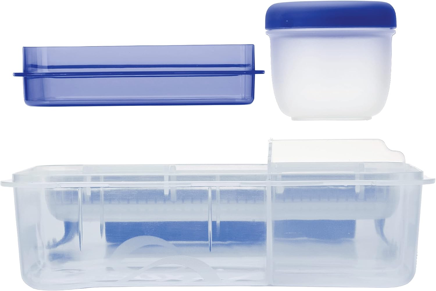 Smash Bento Lunch Box, Blue, 1.6 Liter Capacity - Fern Green image number 4