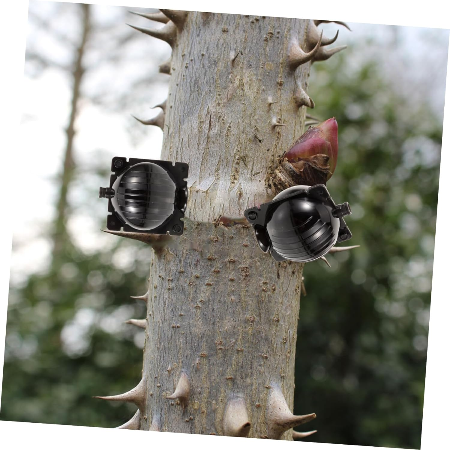 BUTIFULSIC 10Pcs Root Propagation Ball High Pressure Air Layering Propagation Box for Plant Root Growing Gardening Supplies Small image number 1