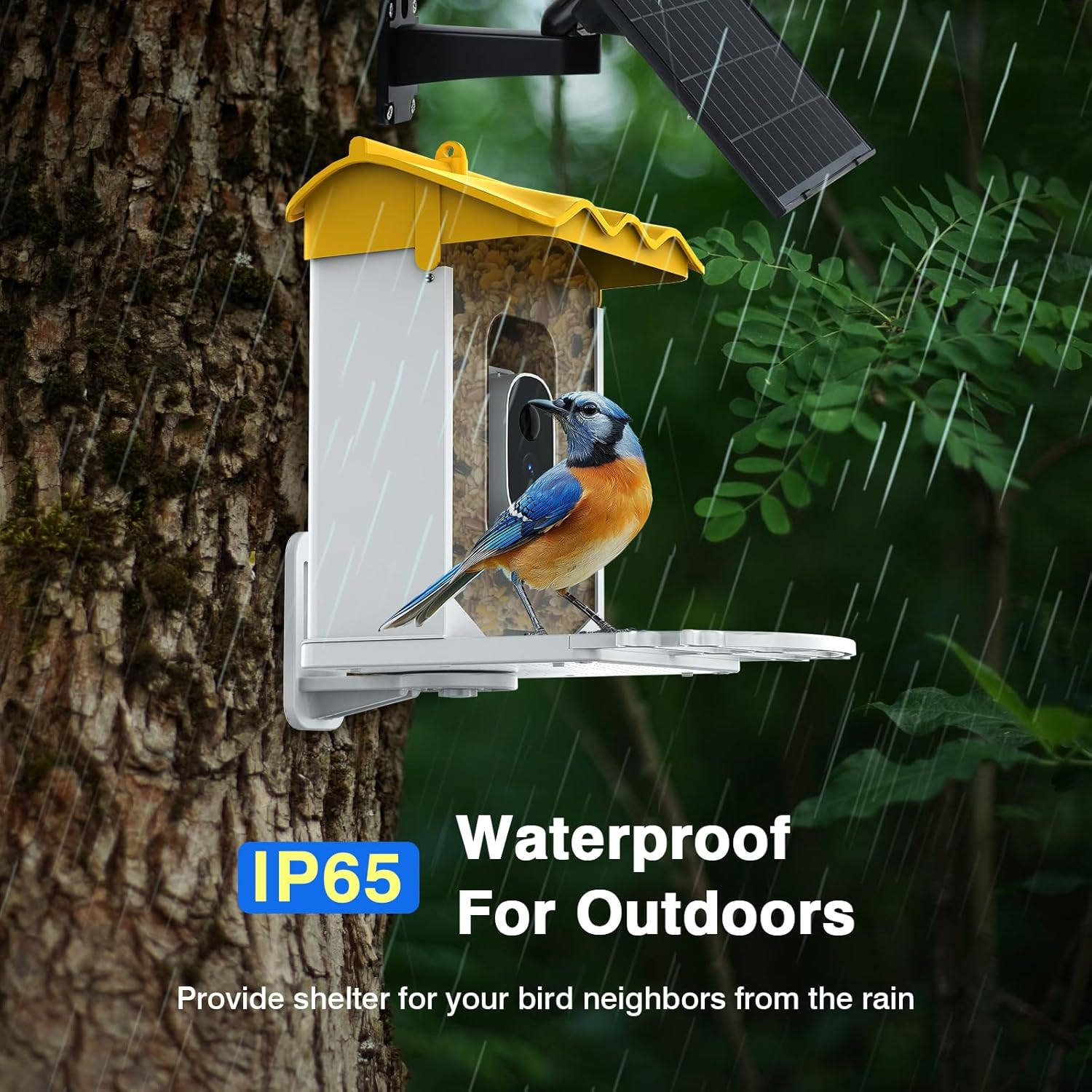 Advwin Smart Bird Feeder with Camera, AI Identify Species Bird Feeders for Outdoors, Solar Powered, 2K Live Video Auto Capture, Instant Notifications image number 2