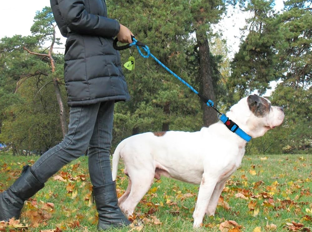 Mumoo Bear Rope Dog Lead 1.5M with Comfortable Padded Handle and Highly Reflective Threads for Medium Large Dogs (1.5M-1.2Cm, Blue) - Black 2Pc image number 5