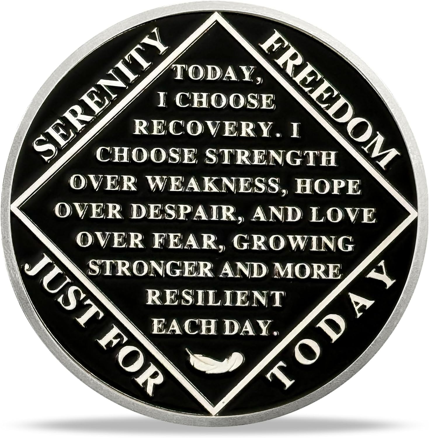 2 Year NA Sobriety Coin - NA Medallions with Wings and Scenic Sobriety Chips NA Coins - Ideal Narcotics Anonymous Gifts for Men ＆ Women Celebrating Recovery and Living Clean
