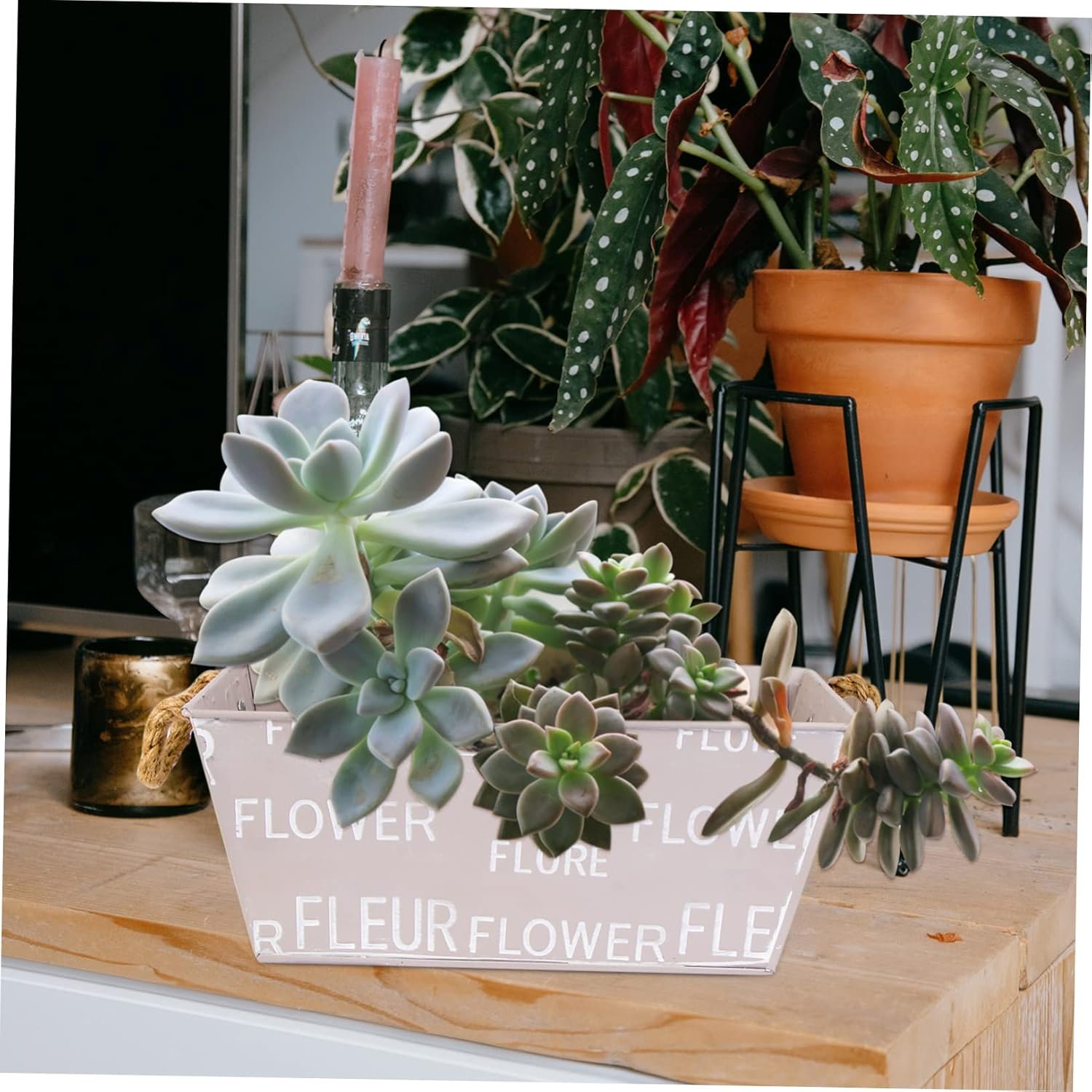 Kisangel 3Pcs Iron Flowerpot Creative Flowerpot for Gardening Plant Container Unique Design for Indoor Plants Oblong Shape for Succulent Decor Random Color image number 2