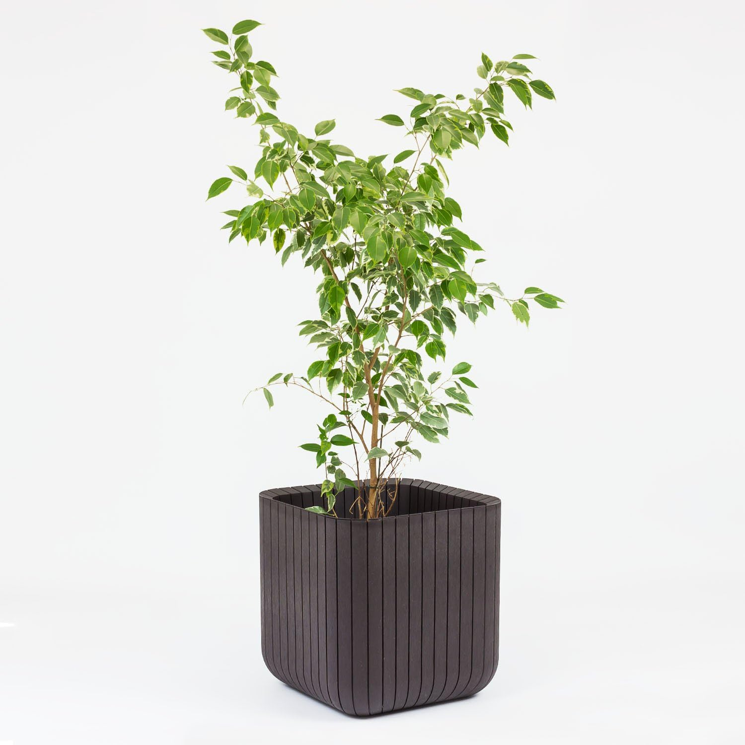 Keter Small Wood Cube Planter, Brown image number 2