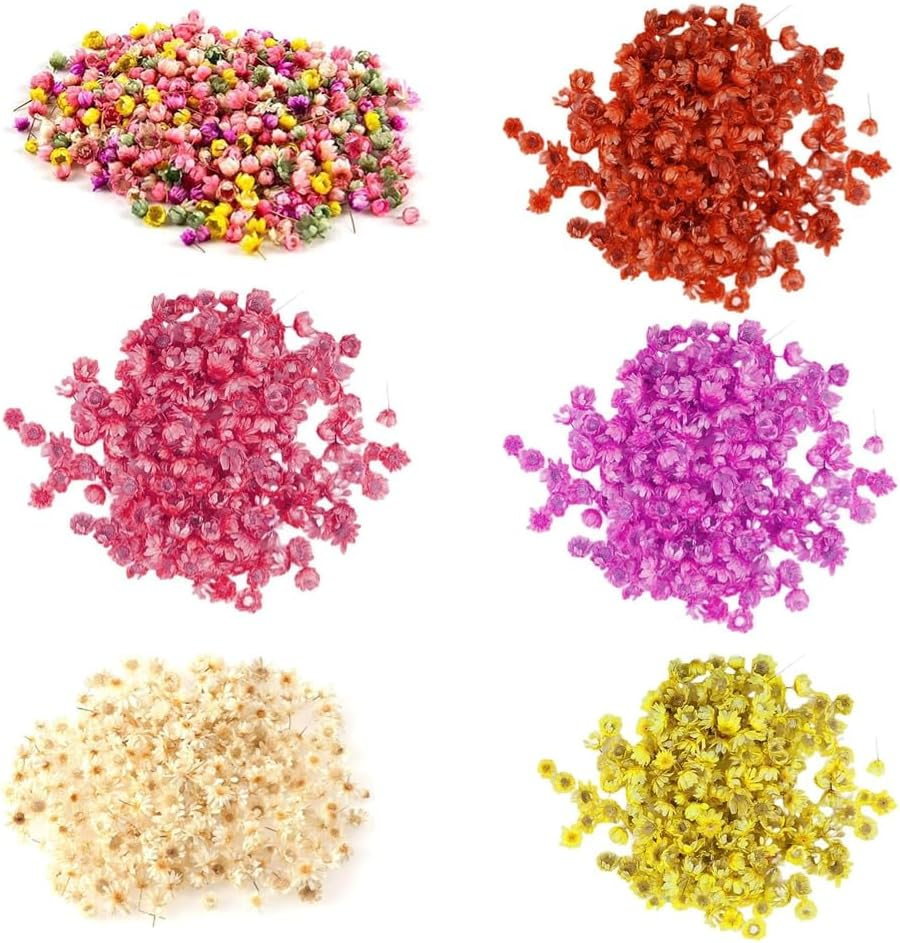 Poemtian Natural Dried Flowers Real Dried Flowers Little Star Flower Pressed Daisy Flowers for DIY Crafts Resin Candle Casting Jewelry Decorations Nail Art Decor (Color) - Pink image number 5