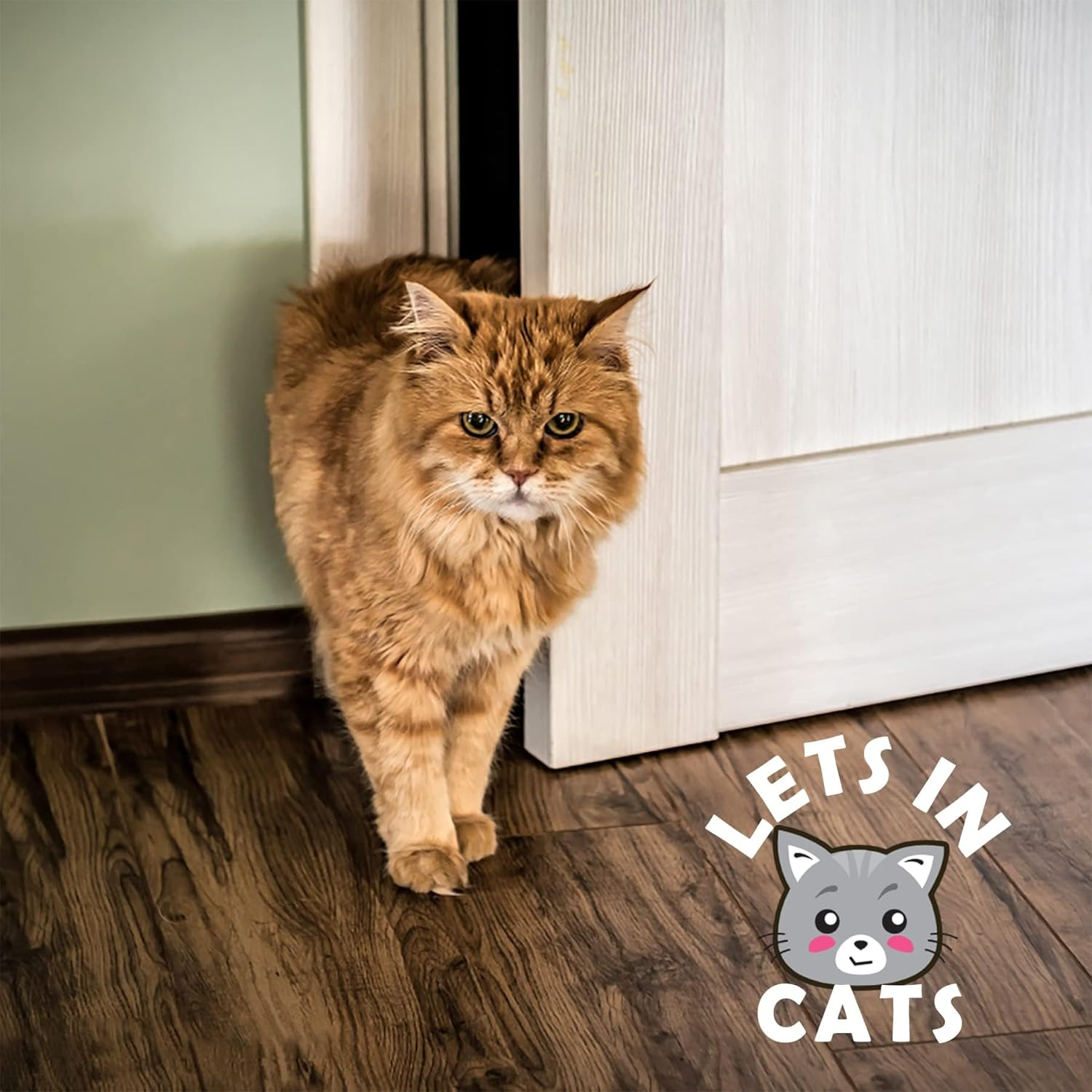 FACAICAI Cat Door Latch Holder, 8 Adjustable Sizes Stronger Flex Cat Door Stopper, Keep Door Open 1.5" to 8", Keeps Dogs Out of Litter & Food, No Tool Required & No Wall Damage (White) image number 5