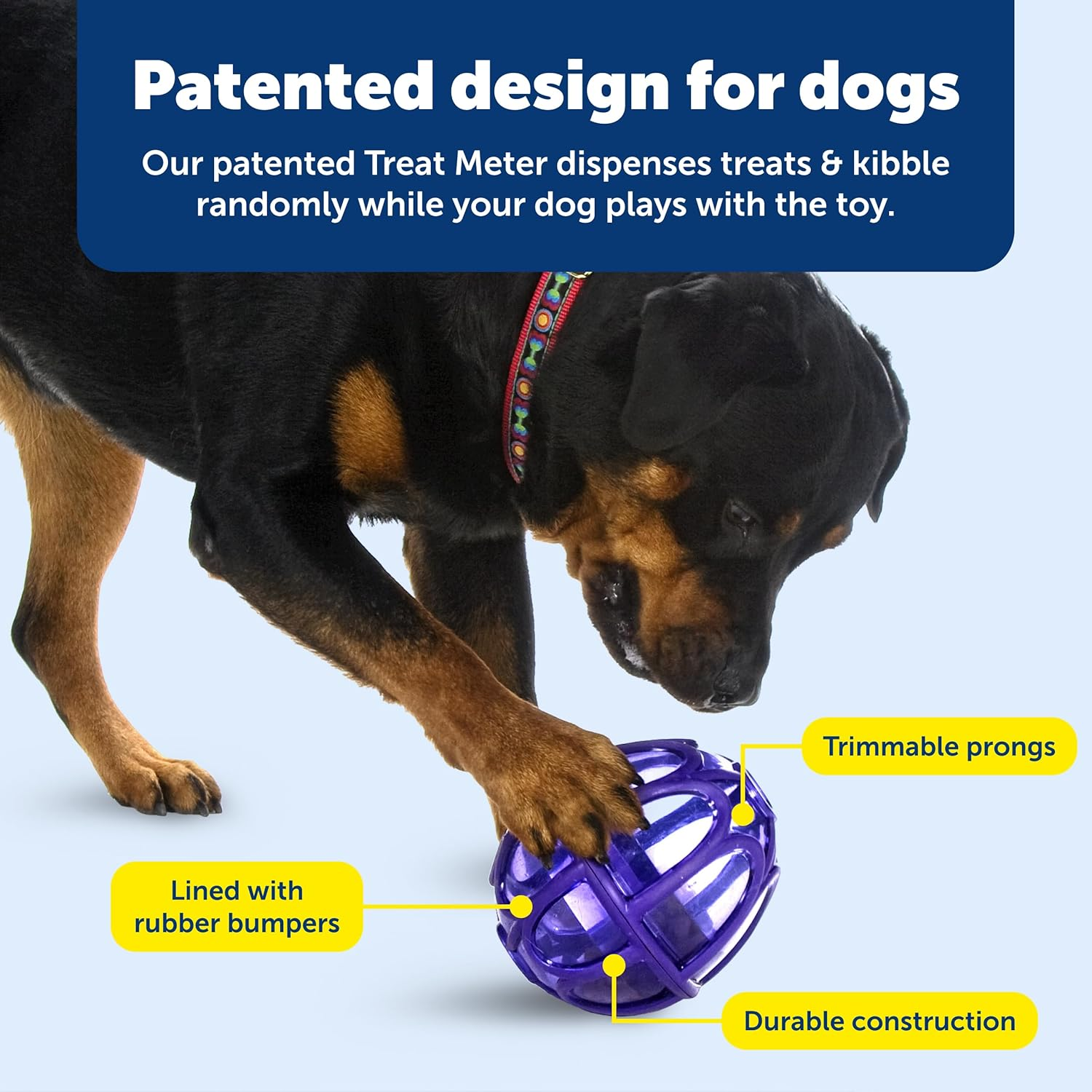 Petsafe Busy Buddy Kibble Nibble Meal Dispensing Dog Toy, Small - Pty00-13739,Purple - S (Pack Of 1) image number 1