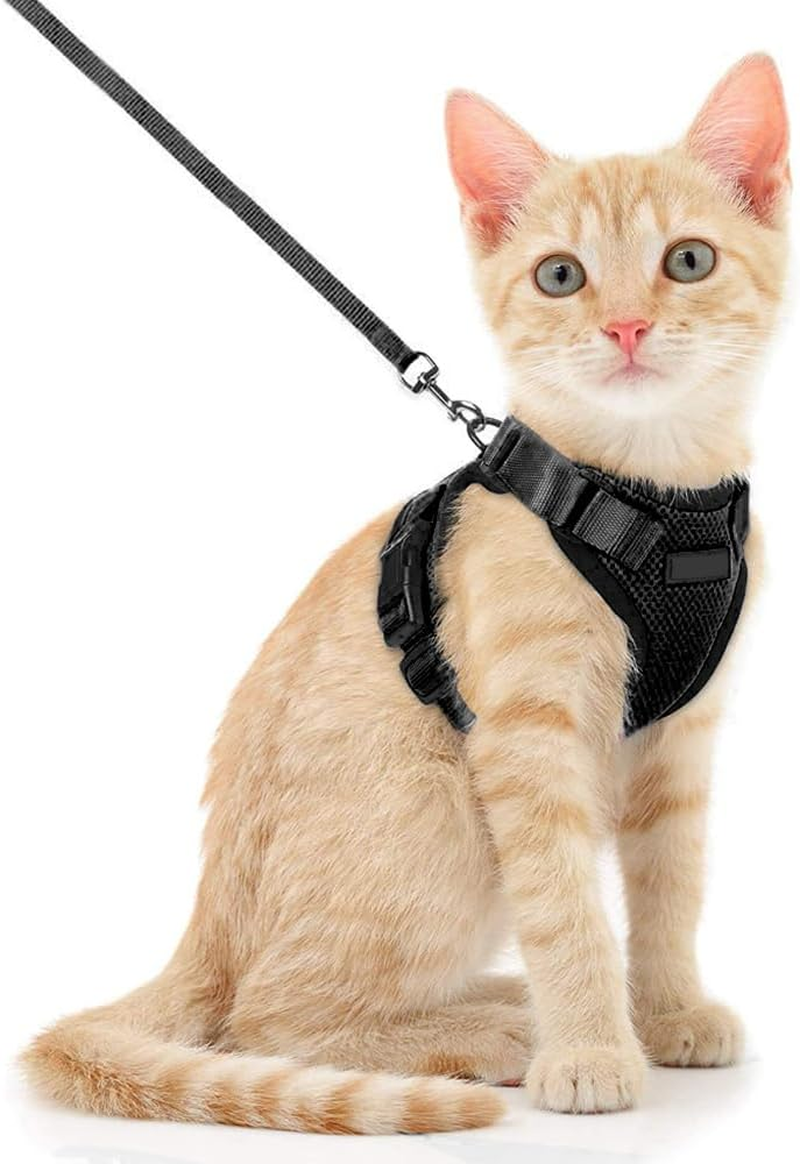 Voarge Cat Harness, Adjustable with 150 Cm Leash, Safety Cat Harness for Small Medium Large Adult Cats, Puppies, Cat Harness for Walking Travel(Light Blue, S)