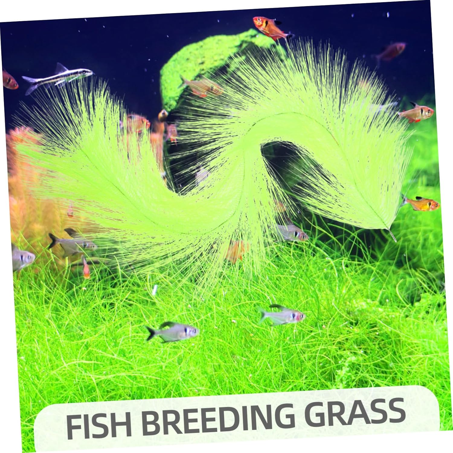 WEKADRIN Fish Spawning Grass Brush with Stainless Steel Core 60Cm Aquarium Breeding Grass Hideout for Koi Goldfish Egg Hatching and Fish Tank Aquatic Pets image number 5