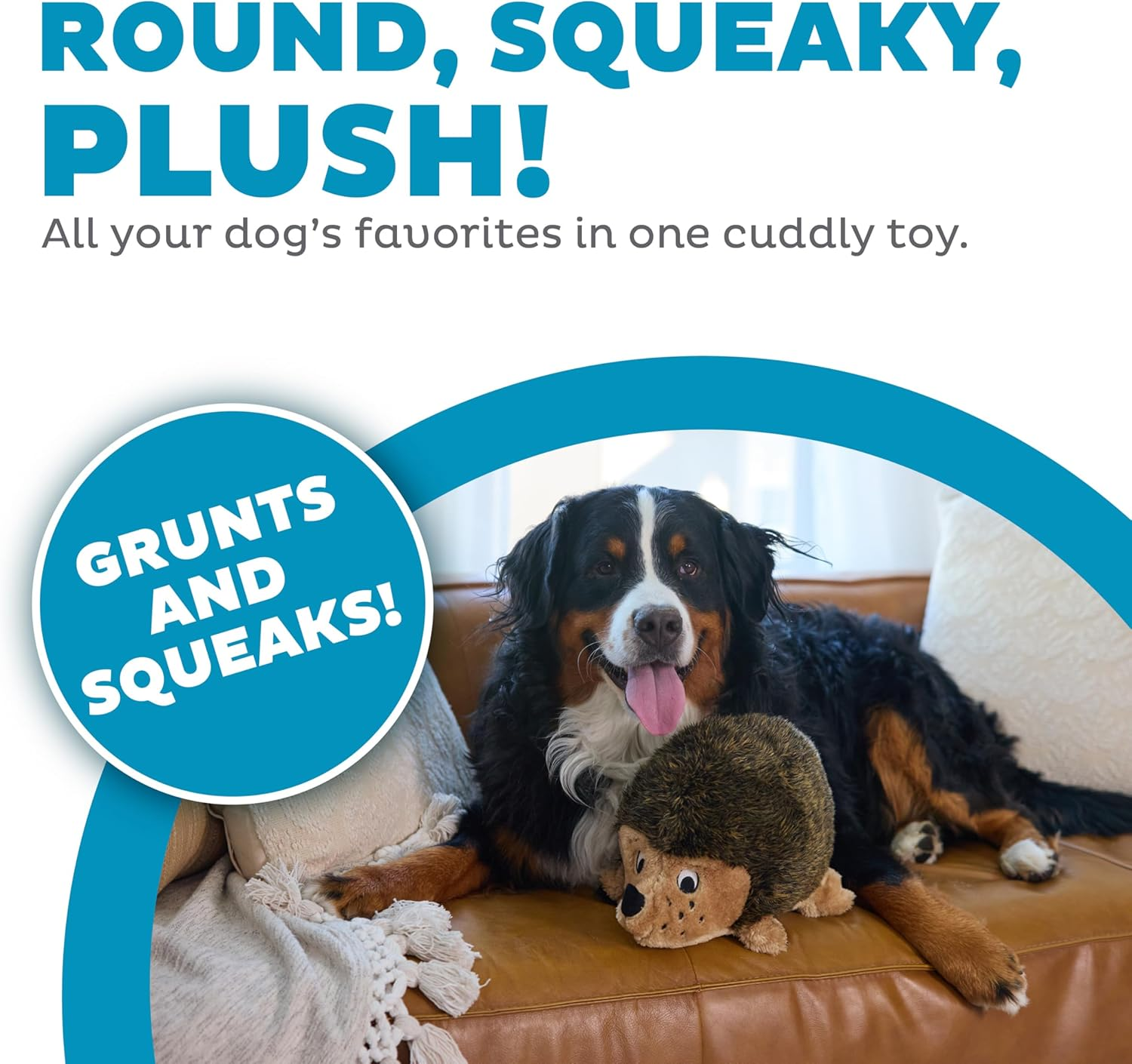 Outward Hound Hedgehogz Squeak and Grunt Dog Toy
