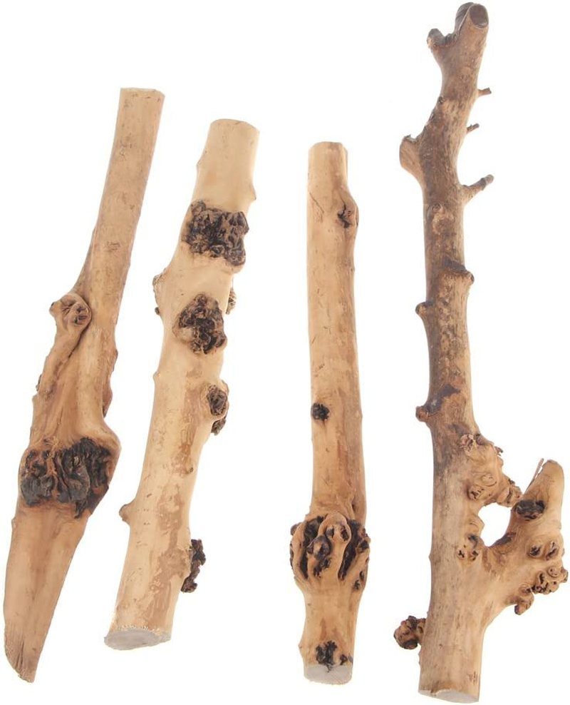 Reptile Decor Natural Forest Branch Terrarium Wood Aquarium Ornament, 4 Pack