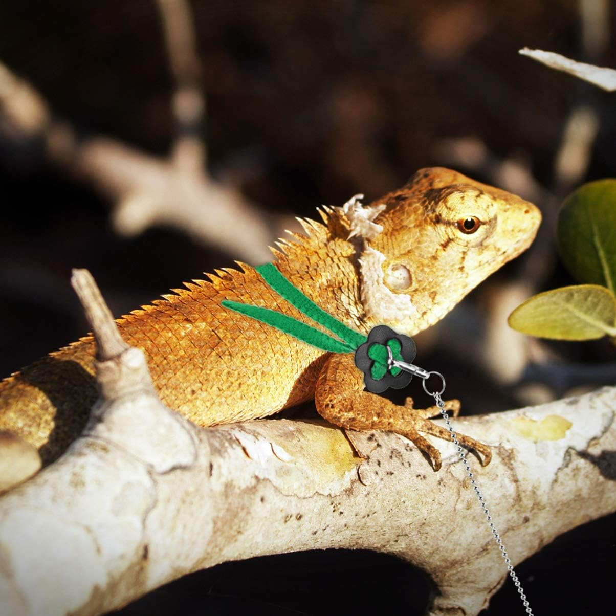 Homoyoyo Reptiles Lizard Leash Adjustable Flying Anti- Bite Training Rope 1. 2M Bird Harness and Leash 1.2M Lizard Harness Small Animal Harness Lizard Vest Harness Animal Leashes Wing Strap