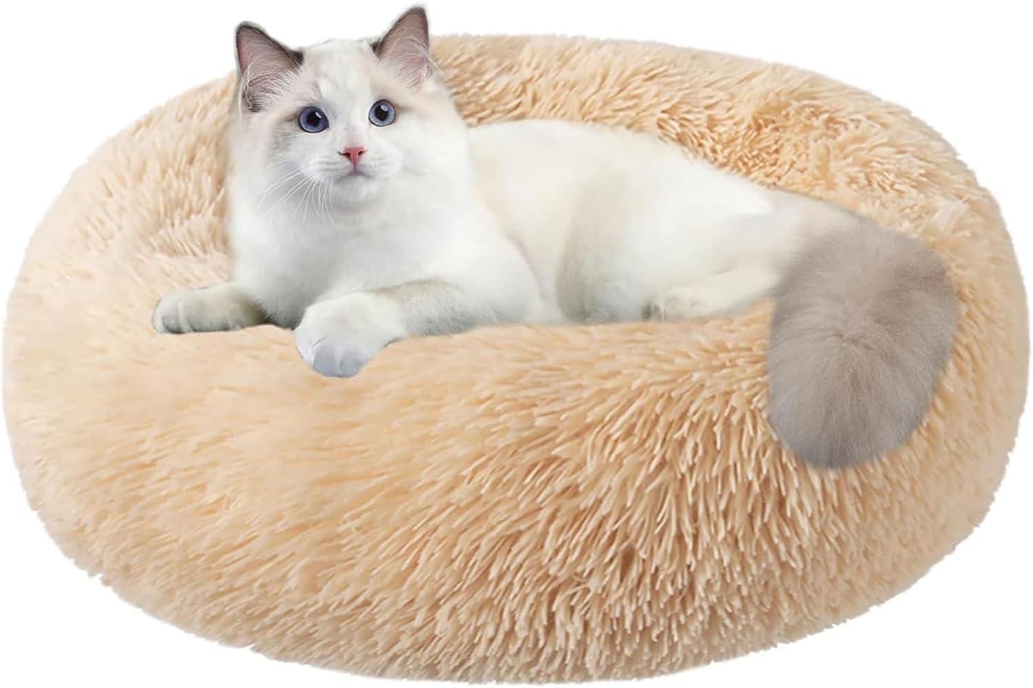 DESIGN for COZY SLEEP: This Pet Bed Is a Semi-Envelope Design, Creating a Safe and Warm Room for Medium-Sized Dogs Who like to Curl up and Stretch Out for a Restful Sleep. the Long-Pile Surface Is Sof