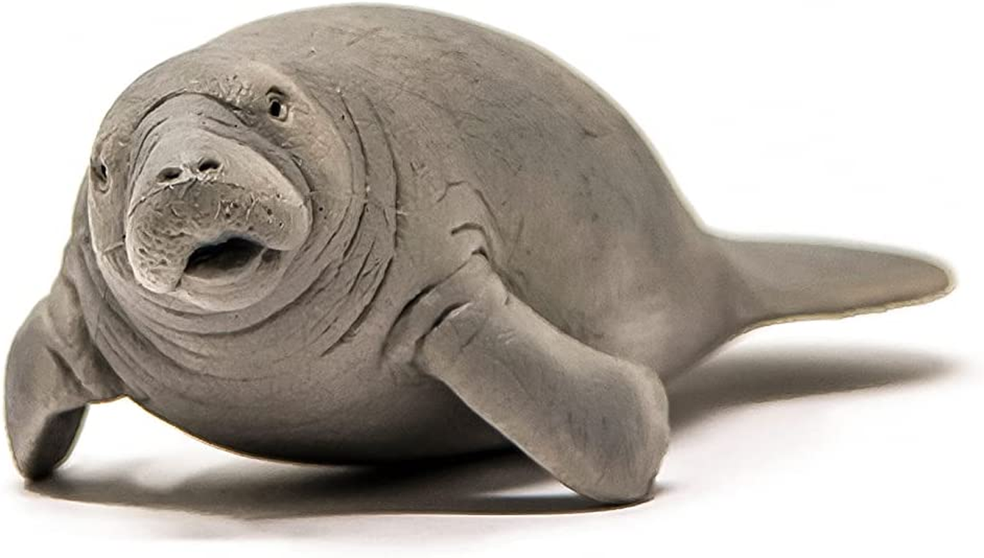 Schleich Wild Life Realistic Manatee Figurine - Authentic and Highly Detailed Animal Toy, Durable for Education and Fun Play, Perfect for Boys and Girls, Ages 3+ image number 2