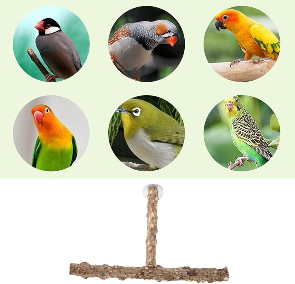 Natural Wood Bird Perch Stand &ndash; Chewing & Climbing Branch for Parrots, Cockatiels, Lovebirds, Budgies, Conures | Cage Accessories with Paw Grinding Fork | Safe Bird Toys & Perches image number 4