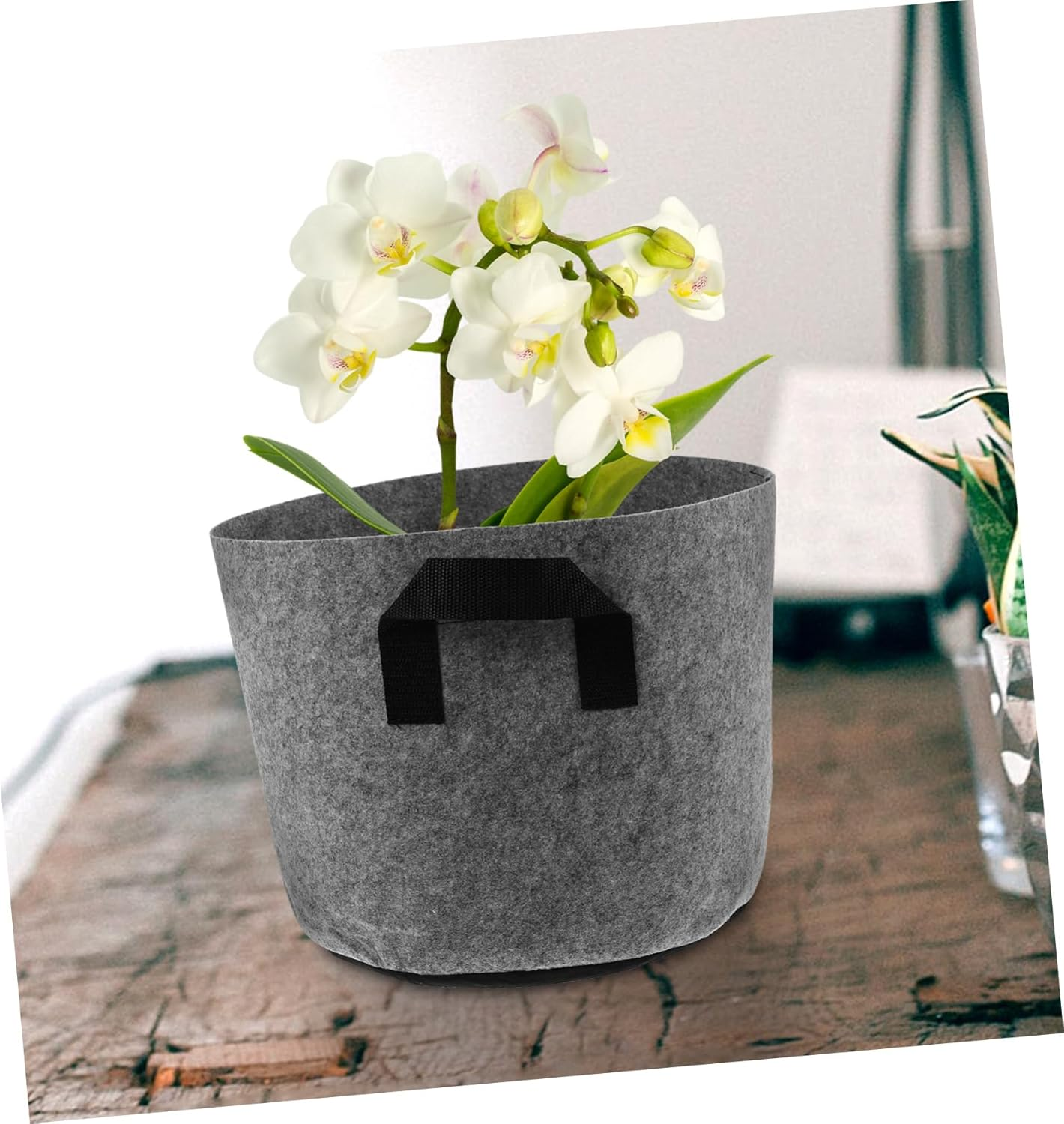 Gogogmee Sustainable Gardening 5Pcs Heavy Duty Felt Plant Grow Bags with Handles for Tomato Potato Grey image number 4