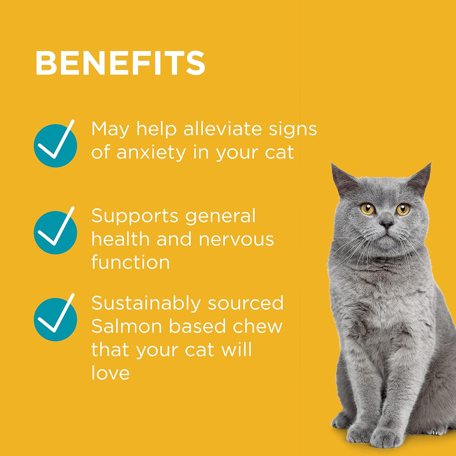 PAW by Blackmores Complete Calm Multivitamins for Cats | Assists with Reducing Feline Anxiety | 63 Chews image number 4