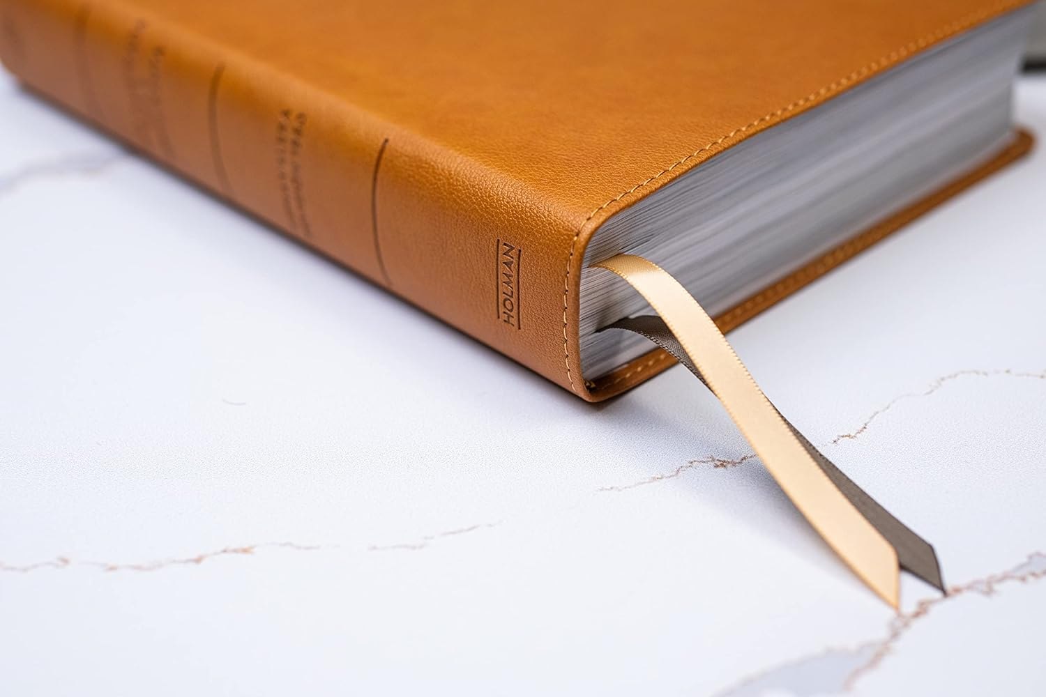 Rvr 1960 Biblia Ilustrada De La Tierra Santa, Caf&eacute; S&iacute;mil Piel Con &Iacute;ndice image number 1