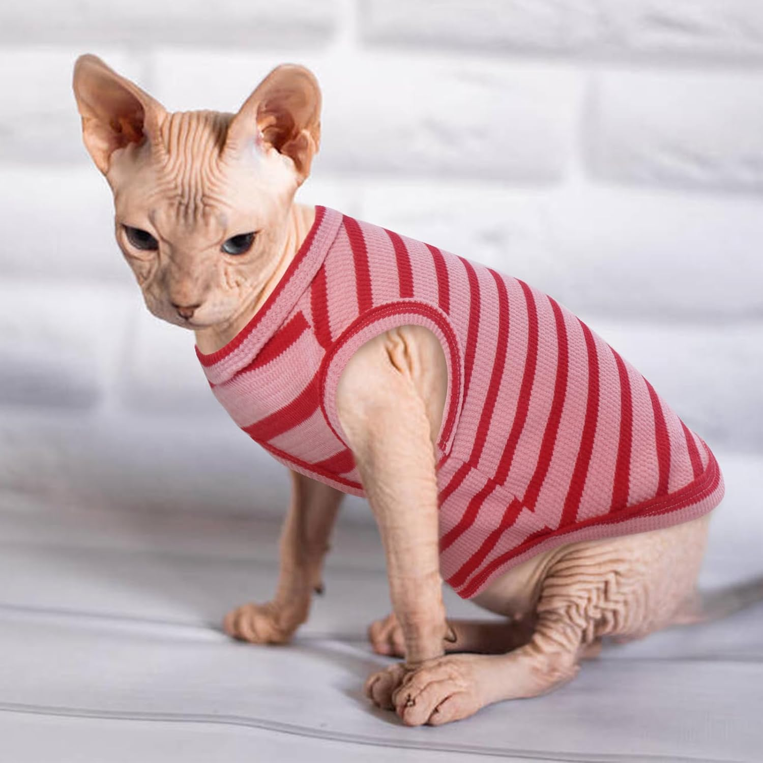 OUOBOB Sphynx Cat Clothes, Breathable Hairless Cat Shirts, Stripe Kitten T-Shirts Sleeveless, Pullover Cat Sweaters, Pet Summer Apparel for Sphynx, Cornish Rex, Devon Rex, Peterbald, Small Dogs image number 2