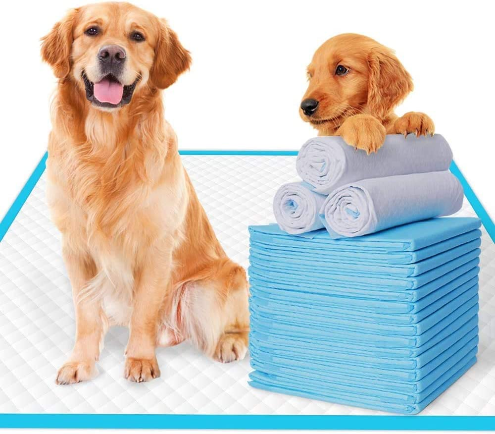 EZONEDEAL Extra-Large Dog Training Pads for Dogs Super Absorbent and Thicker Puppy Pads with Quick-Drying Materials Potty Training Pee Pads for Dogs and Cats - Dog Pee Pad (200 PCS) image number 3