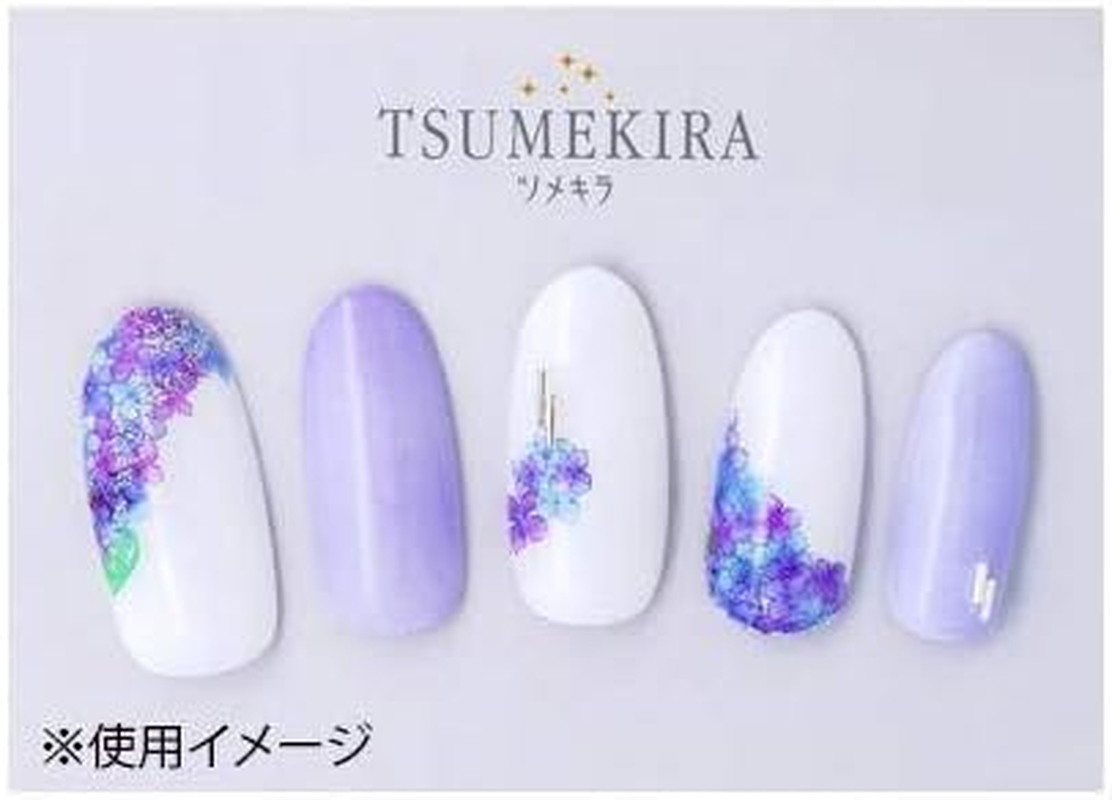 TSUMEKIRA NN-AJI-101 Nail Stickers, Hydrangea, Blue/Purple, 1 Sheet (X 1)