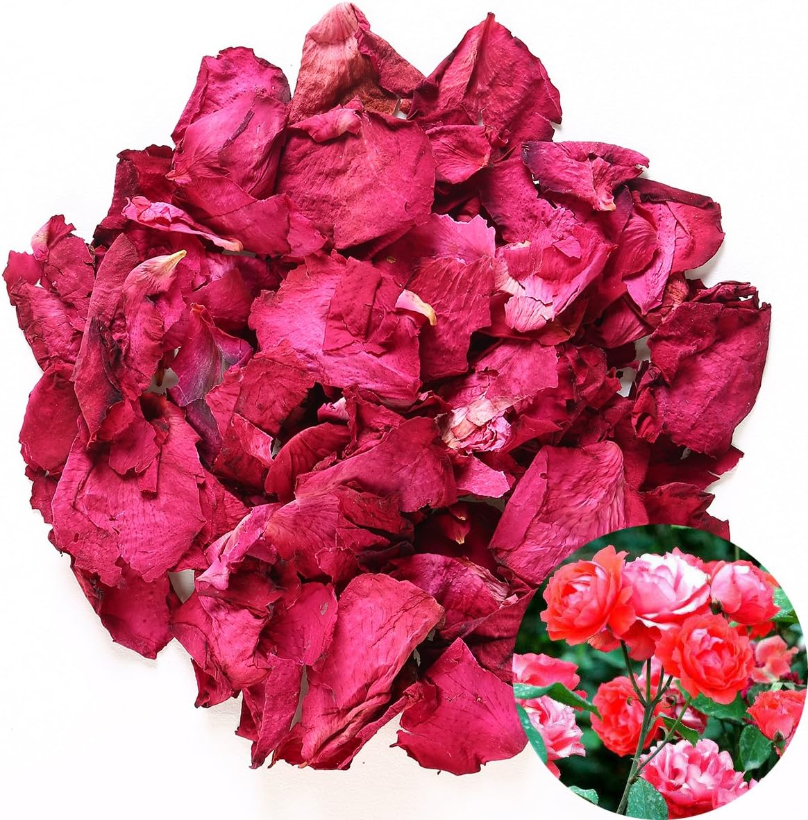Tooget Dried Natural Real Red Rose Petals Organic Dried Flowers Wholesale Best for Wedding Party Decoration Bath Body Wash Foot Wash Tea Baking Potpourri Crafting - 2 OZ image number 1