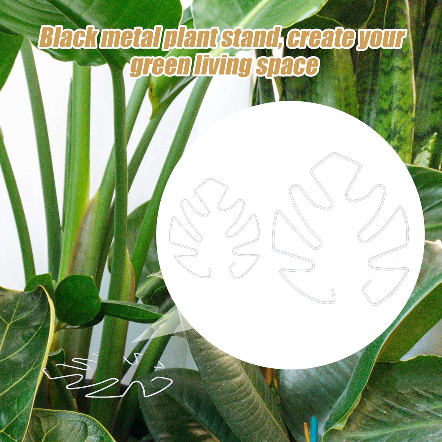 BOXOB 2Pcs Monstera Leaf Plant Support, 2 Size Climbing Plant Stem Support Hooks Ideal Monstera Stabilizer Grapple Holder Turtle Shell Clamp Set for Thriving Growth Plant(White) image number 4