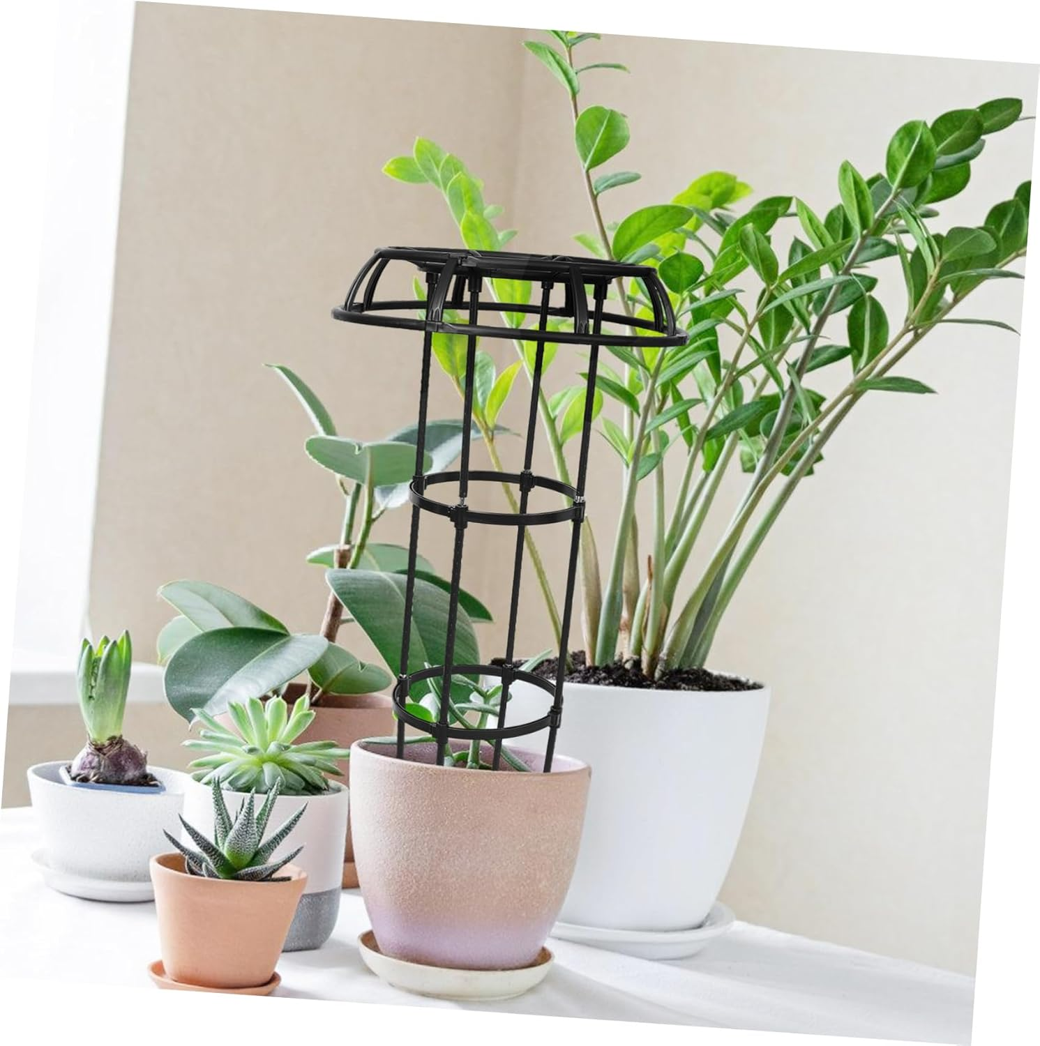 SEWOART Plant Supporting Rack Garden Trellis for Indoor Plants Garden Supplies Climbing Stands image number 4