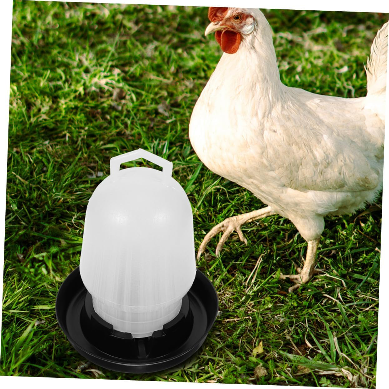Alasum 2Pcs Automatic Poultry Waterer Chicken Water Dispenser Cups for Chickens Ducks Quail Pigeons Outdoor Use Farm and Home