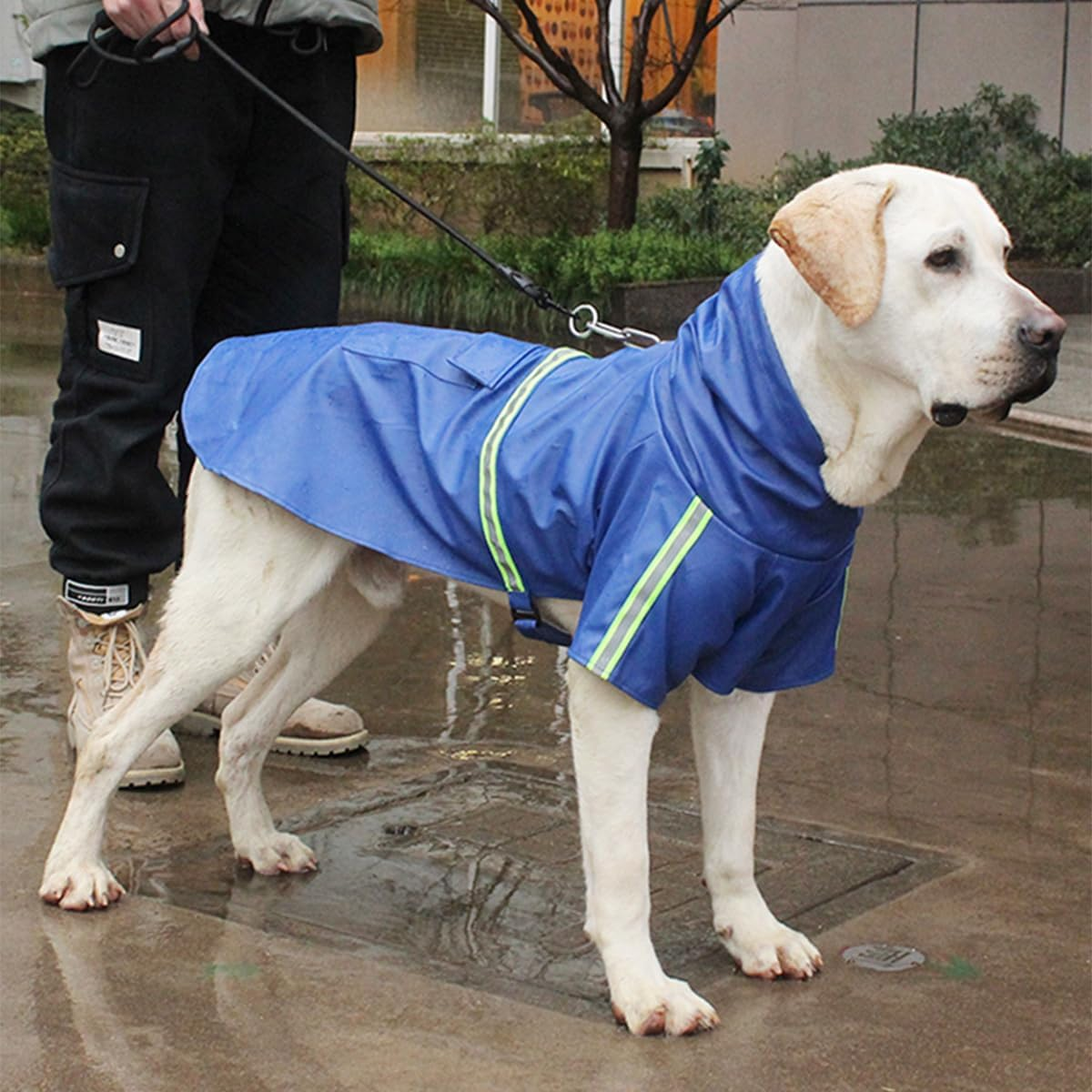Namvo Dog Raincoat with Reflective Strips, Adjustable, with Hood for Small and Medium Dogs (L, Blue) image number 5