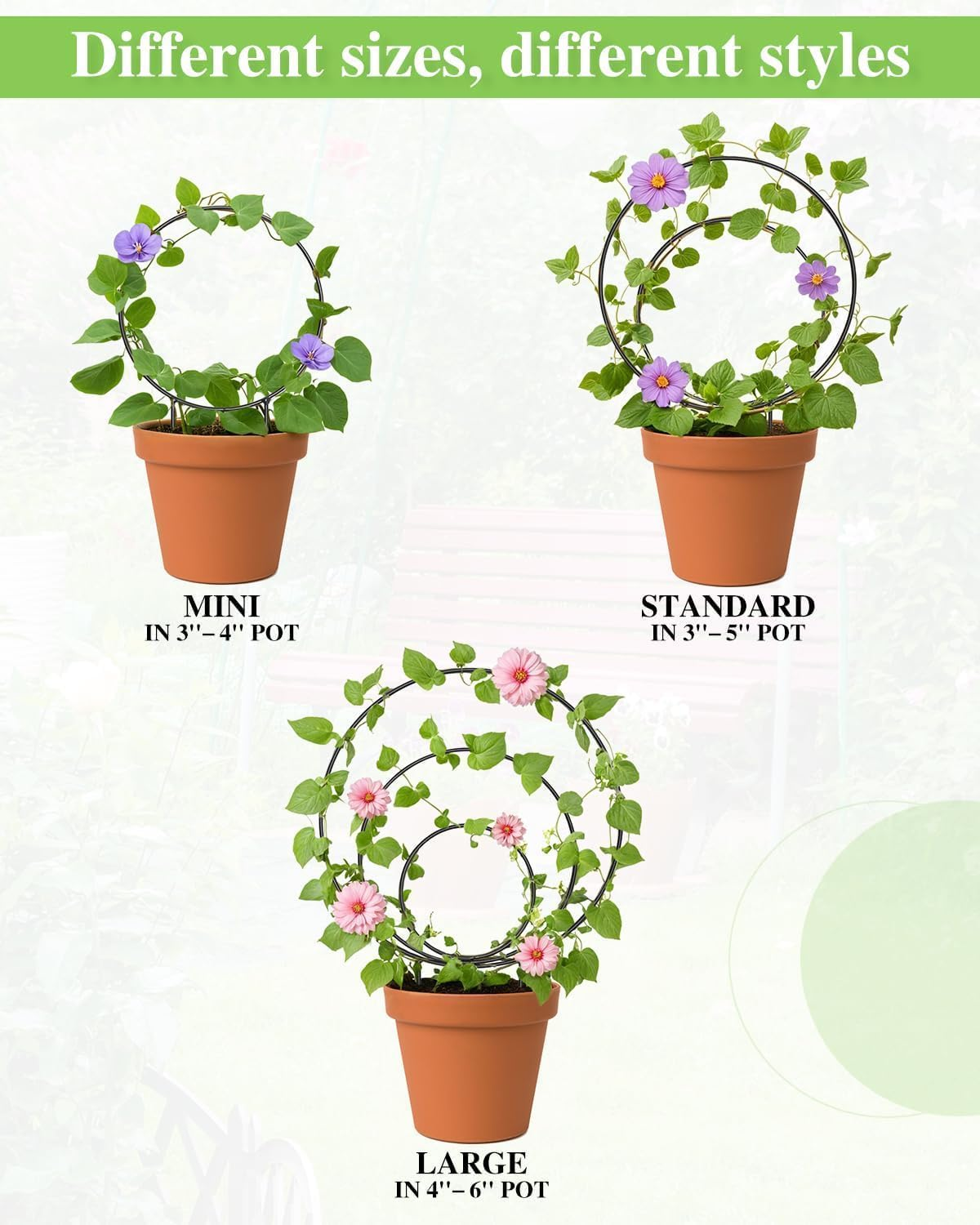 Round Plant Trellis Support Stakes, 3 Pieces, Black, Multiple Sizes for Indoor Climbing Plants,Unique round Hoya Trellis, Different Size Houseplant Trellis for Indoor Climbing Plant,Black image number 4