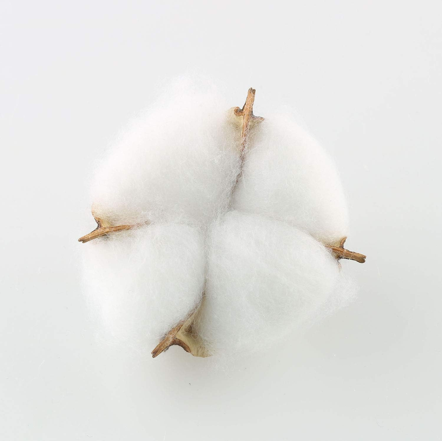 Tegg Cotton Boll 20PCS Natural White Cotton Balls Dried Cotton Pods for Crafting Farmhouse Style image number 3