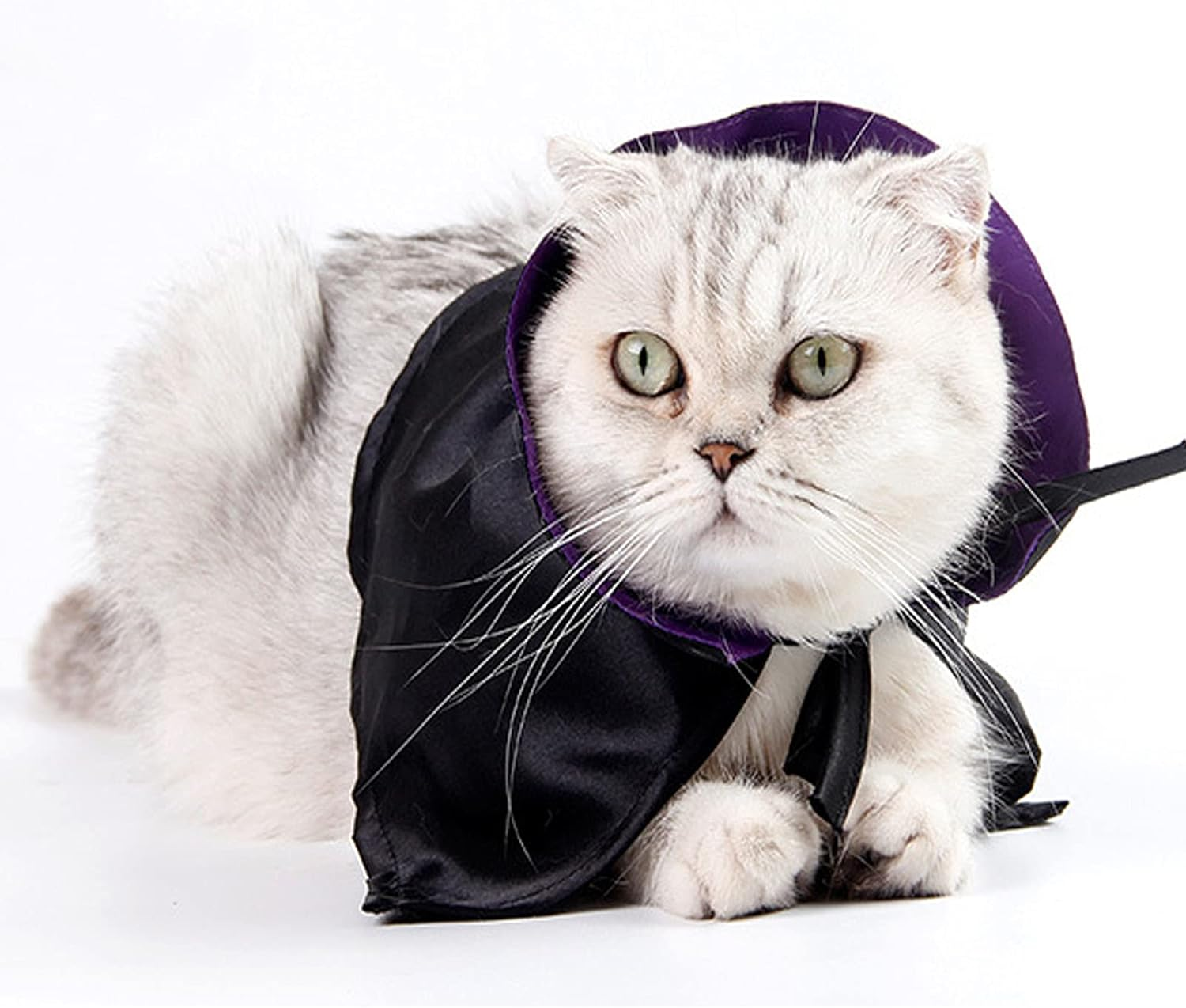 Halloween Pet Cloak Witch Hat Witch Cloak Costume for Small Dogs and Cats Halloween Clothes (L) image number 3