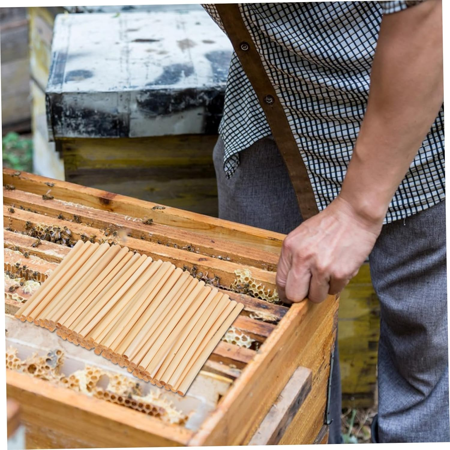 Gatuida 300 Pcs Natural Reed Bee Tubes Pollinator Nesting Tubes for Beekeepers Garden Balcony Courtyard Refill Replacement Essential DIY Beehive Inserts image number 6