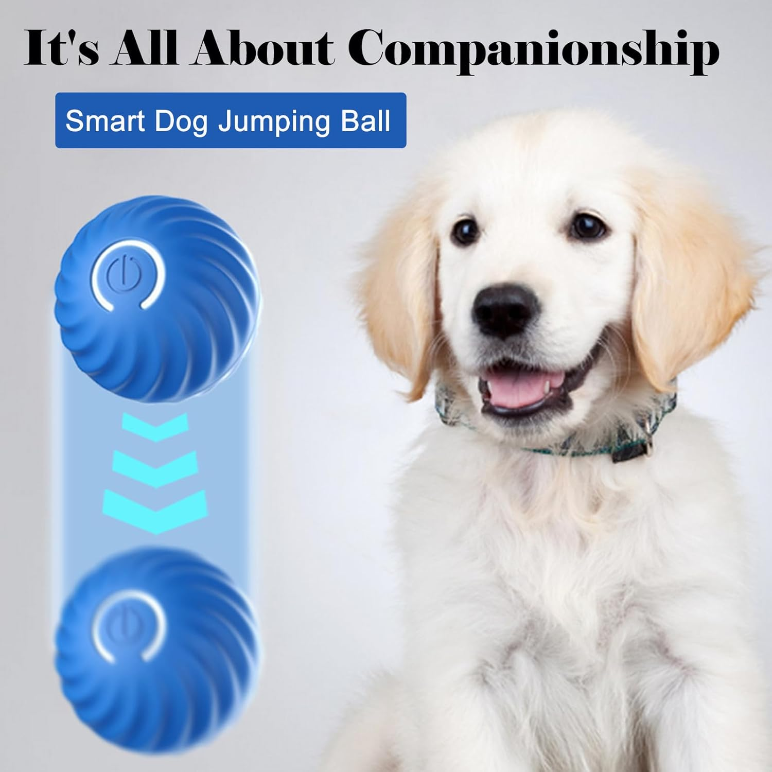 Petgravity Interactive Dog Toys，Dog Ball,Automatic Moving, Bouncing Rotating Ball,Ball Toys For/Small/Medium/Dogs,Usb Rechargeable，Tpu Material，[2025 Newly Upgraded] Removable Shell for Water Washing image number 4