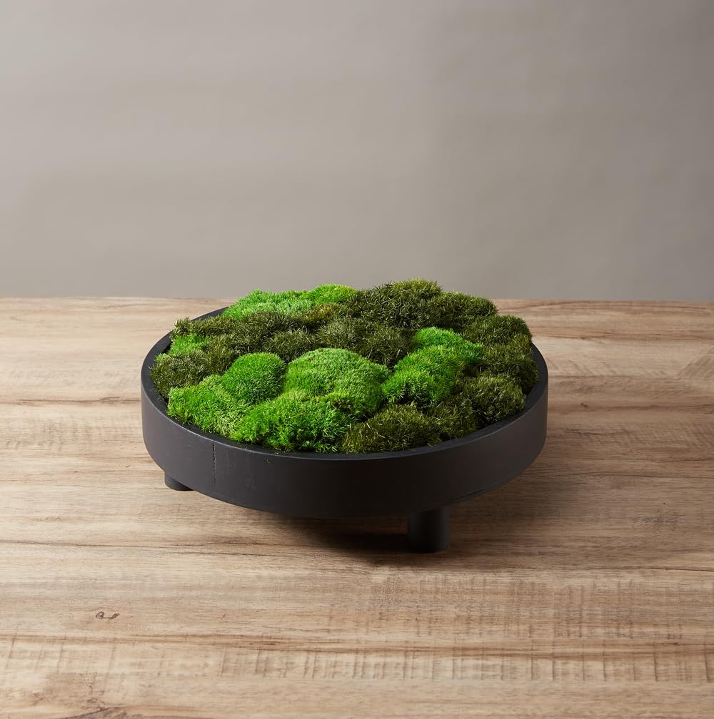 Prefleur 2 Color Mix Pack Preserved Pole Moss Pillow Bun Cushion Natural DIY Kit Art Wall Decor Florist Easter Table Wedding (1.5 Sq.Ft, Green-A, Green-B)