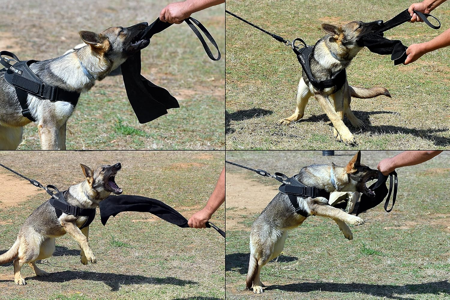 Dingo Gear Leather Bite Rag with 1 Handle Prey Drive Dog Training Tug Black 65 Cm S00487 image number 5