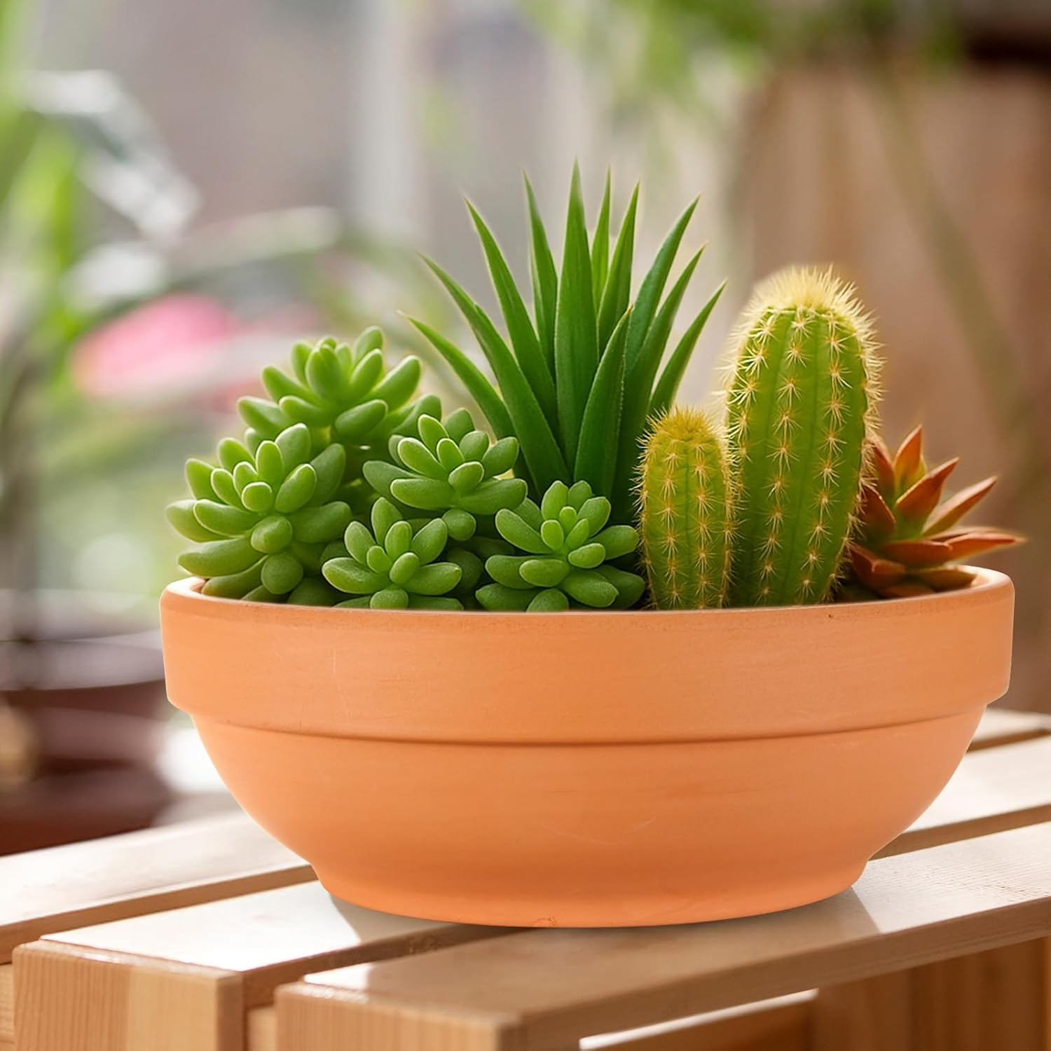 Laergin 6.43 Inch Shallow Terra Cotta Pots with Drain Hole - Clay Plant Pots for Indoor/Outdoor Plants (6 Pack)