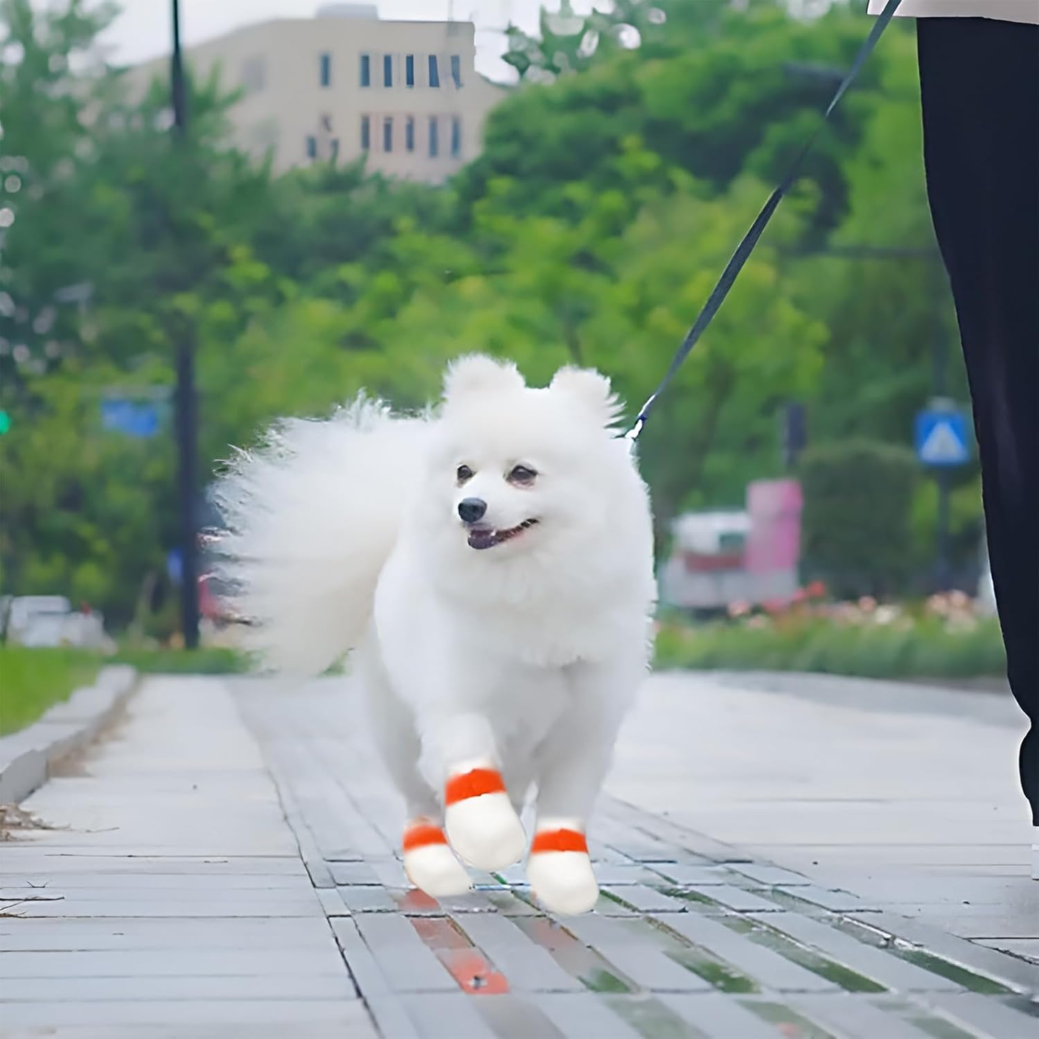 INCAUCA 20 Piece Disposable Dog Booties for Large Dogs, Waterproof Disposable Dog Shoes with Adhesive Bandage, Dog Foot Covers Socks, Paw Protector for Pet Doggy Puppy inside outside Walking, L image number 2