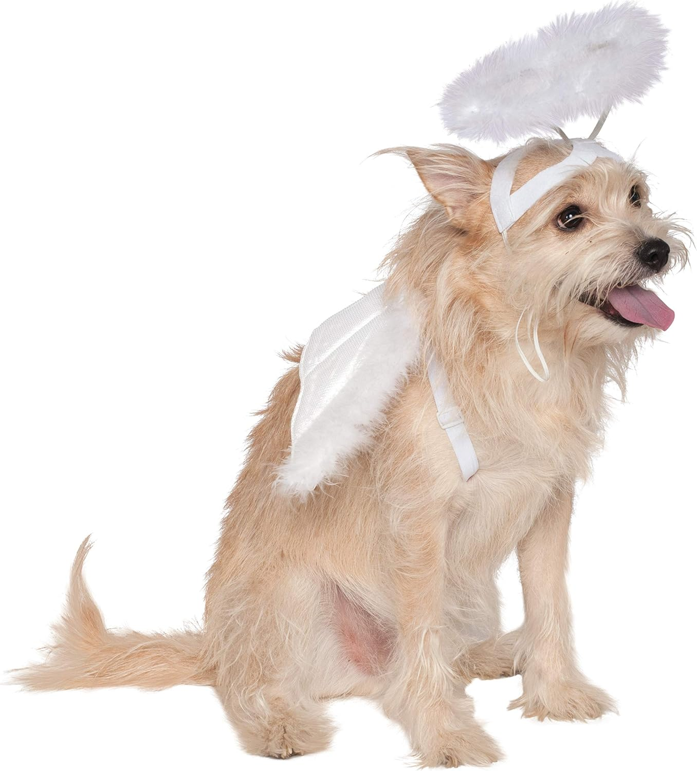 Rubie'S Costume Co Angel Halo and Wings Pet Costume Accessory Set, Small to Medium