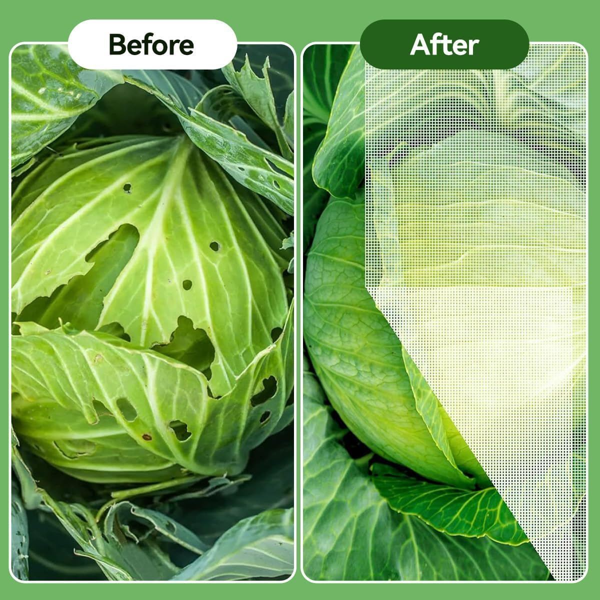 2 Pack 8.2 X 20Ft Garden Netting, Garden Mesh Netting Greenhouse Protection Net Reusable Plant Covers for Protect Vegetables Fruits Plant Flower Crop Screen Barrier Net Row Covers image number 2