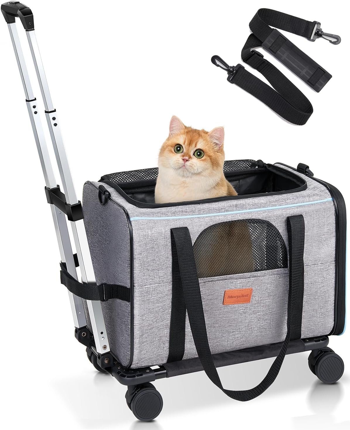 Morpilot Cat Transport Box with Trolley, Foldable Cat Transport Box, Dog Carrier with Wheels for Small Dogs and Cats image number 3