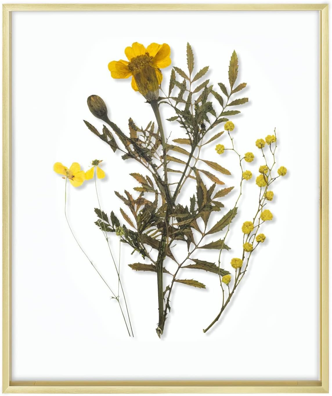 Frametory, Floating Picture Frame 8X10 - Black Aluminum Metal Photo Frame - Real Glass of Front - for Wall Mount Displays