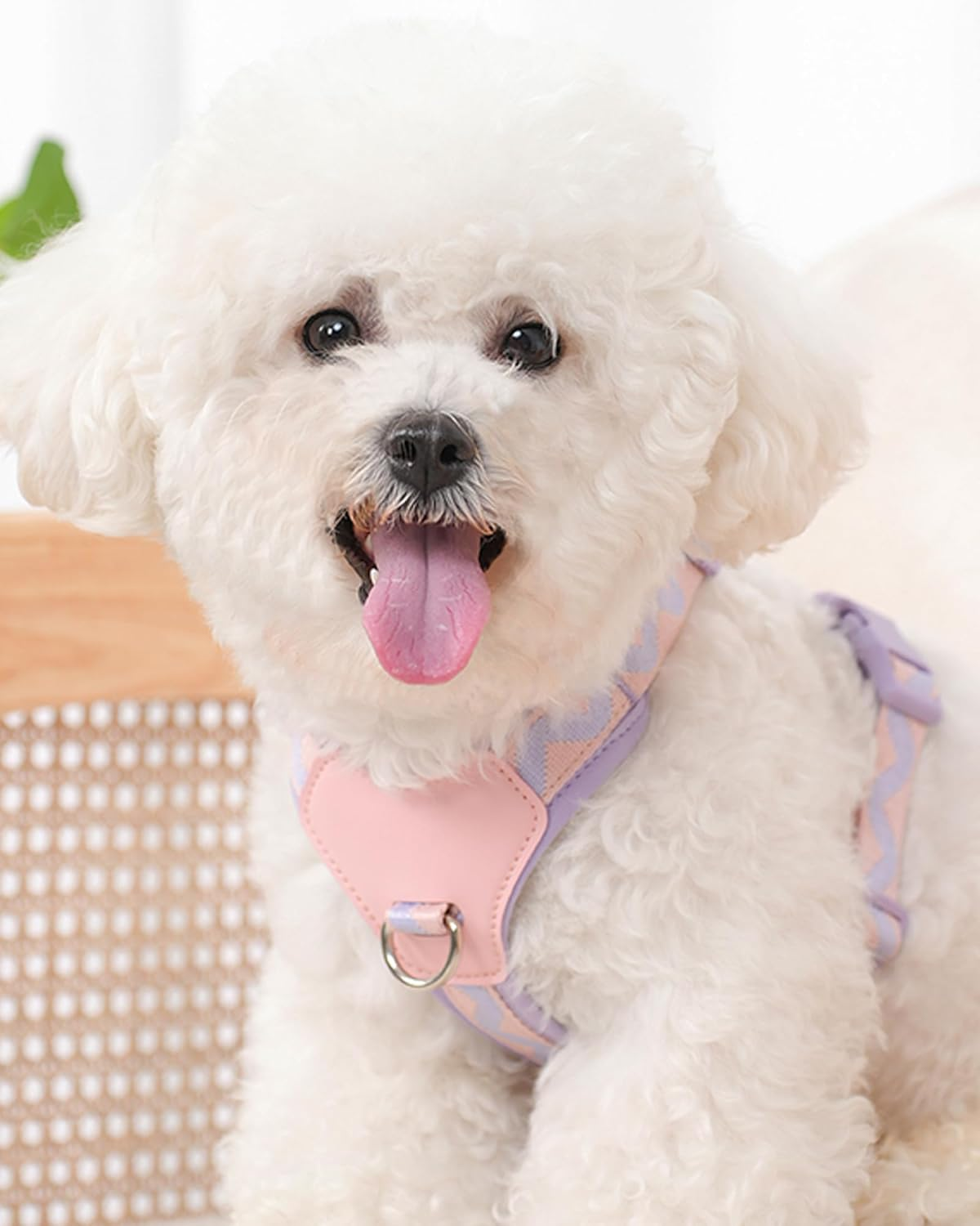 Purple Xs No Pull Dog Harness with 2 Leash Clips, Easy Walk Pet Harness Small Sized Dog, Adjustable Dog Vest Harness (Purple, XS)