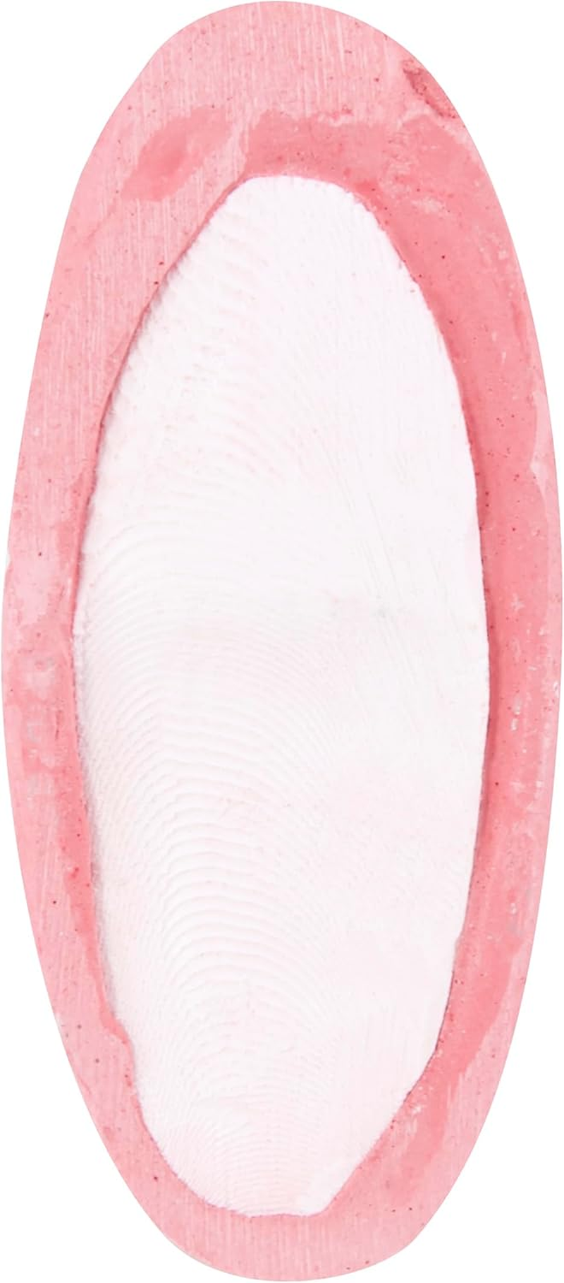 Penn Plax Bird Life E2 Berry Flavored 2-In-1 Cuttlebone/Mineral Block Treat image number 3