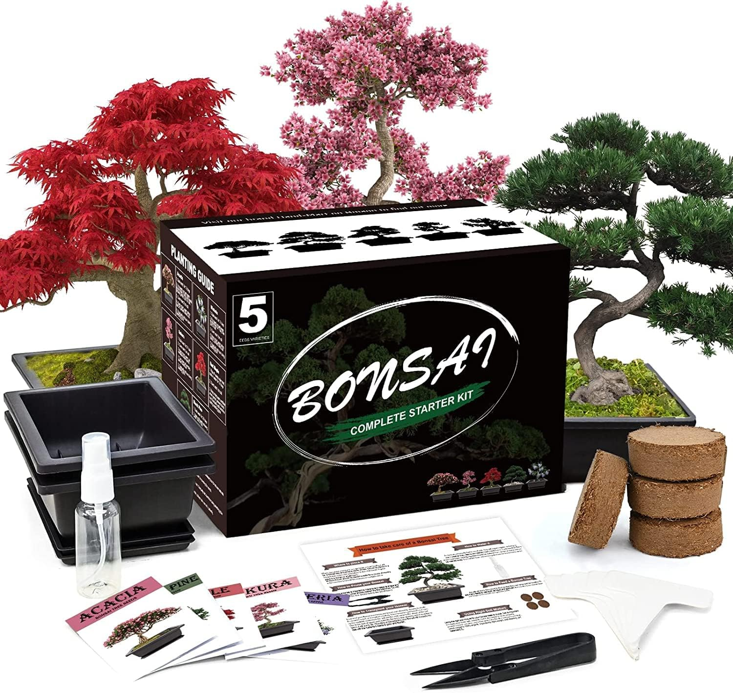 Meekear Bonsai Tree Kit with Complete Plant Growing Tools,Grow in Pot Indoor Bonsai Tree Starter Kit,Home Gardening DIY Gift for Adult (Growing into Acacia,Wisteria,Sakura,Red Maple,Black Pine),Green image number 2