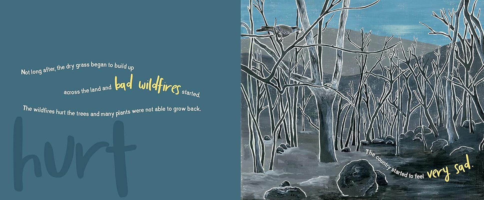 Looking after Country with Fire: Aboriginal Burning Knowledge with Uncle Kuu image number 3