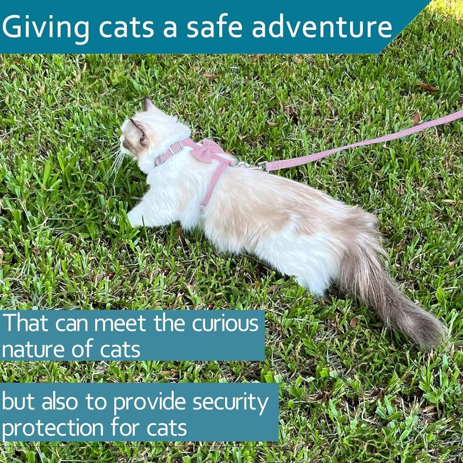 Kalione Cat Harness Set for Walking Escape Proof, Adjustable Kitten Breathable Mesh Harness,With Bow for Cat,Dog,Rabbit-Medium Size