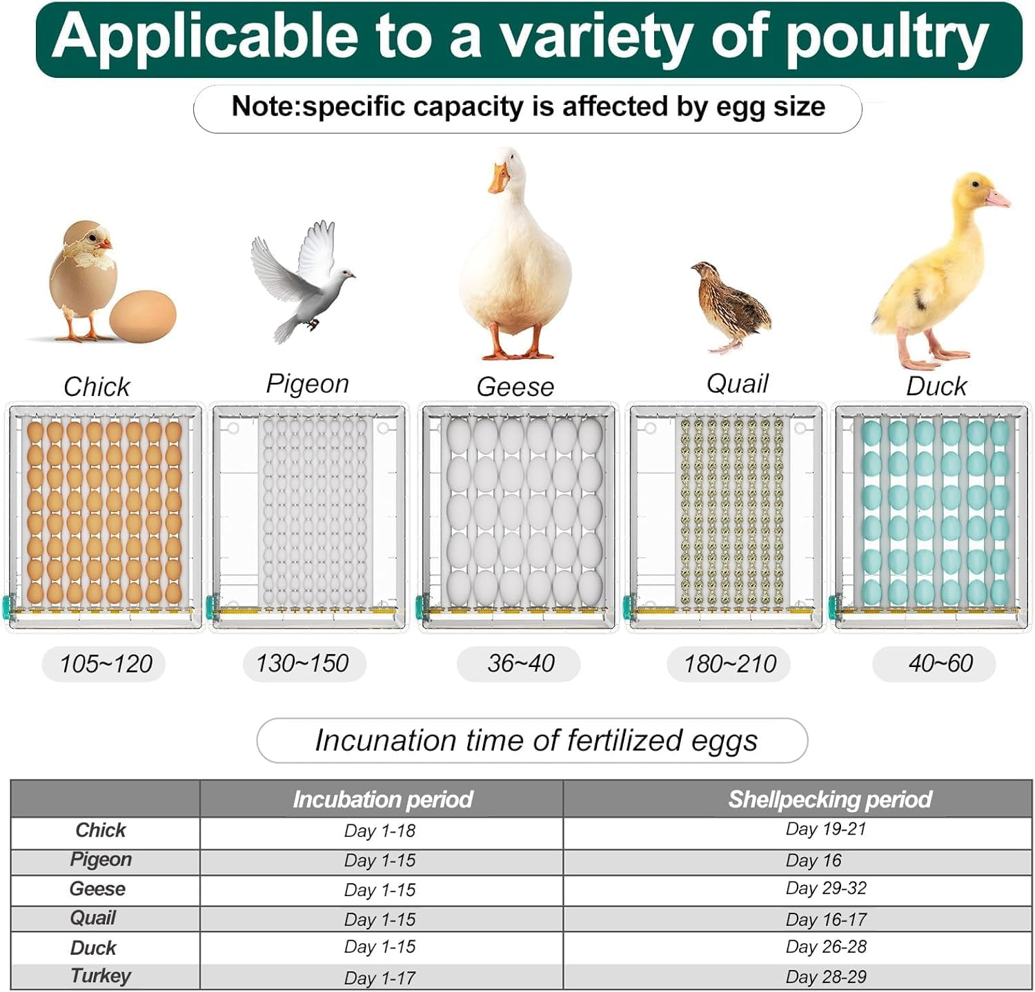 Egg Incubator, Incubator for Hatching Eggs, Automatic Egg Turning, Poultry Hatching Machine, 120 Eggs Incubator for Hatching Chicken Duck Quail Bird Eggs with Egg Candler image number 2