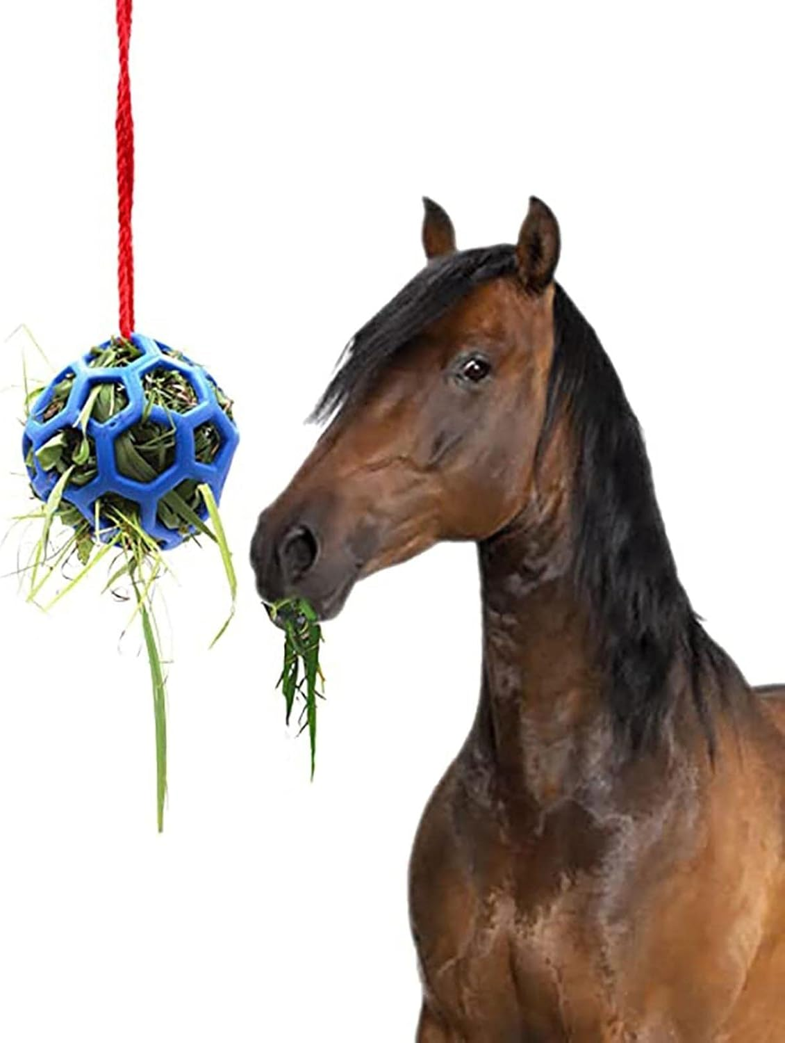Hanging Feeding Treat Ball for Horse ,Hay Feeder Toy Ball for Horse?Goat Sheep Relieve Stress,Horse Stable Stall Paddock Rest (Blue)