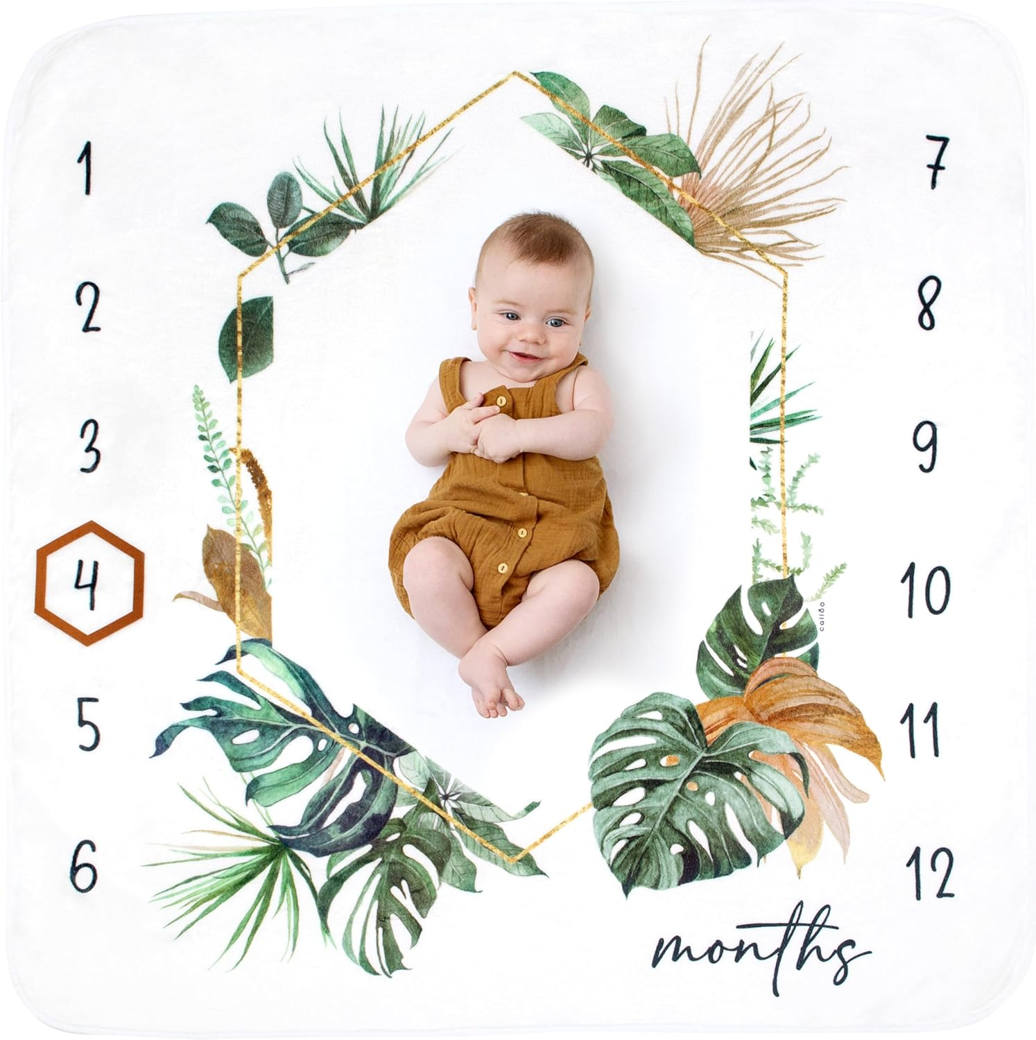 Baby Monthly Milestone Blanket Unisex Gender Neutral, First 12 Months Baby Milestone Blanket for Boy or Girl, Infant Photo Blanket for Age Growth, 46&rdquo;X46&rdquo;